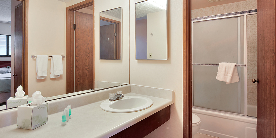 Bathroom within a 1-Bedroom Oceanfront at Molokai shores