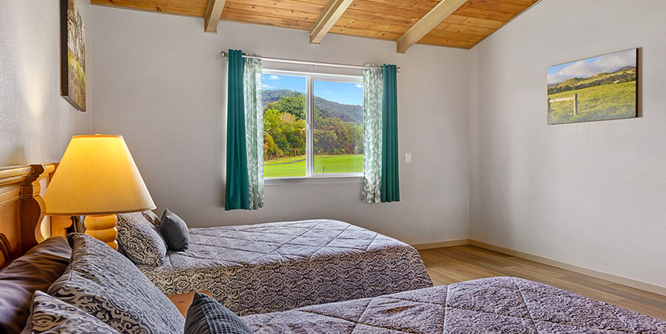 Deluxe Room with  twin beds at Waimea Country Lodge