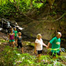 Wailua River Paddle Jungle Hike